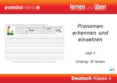Pronomen-einsetzen-Heft 5.pdf